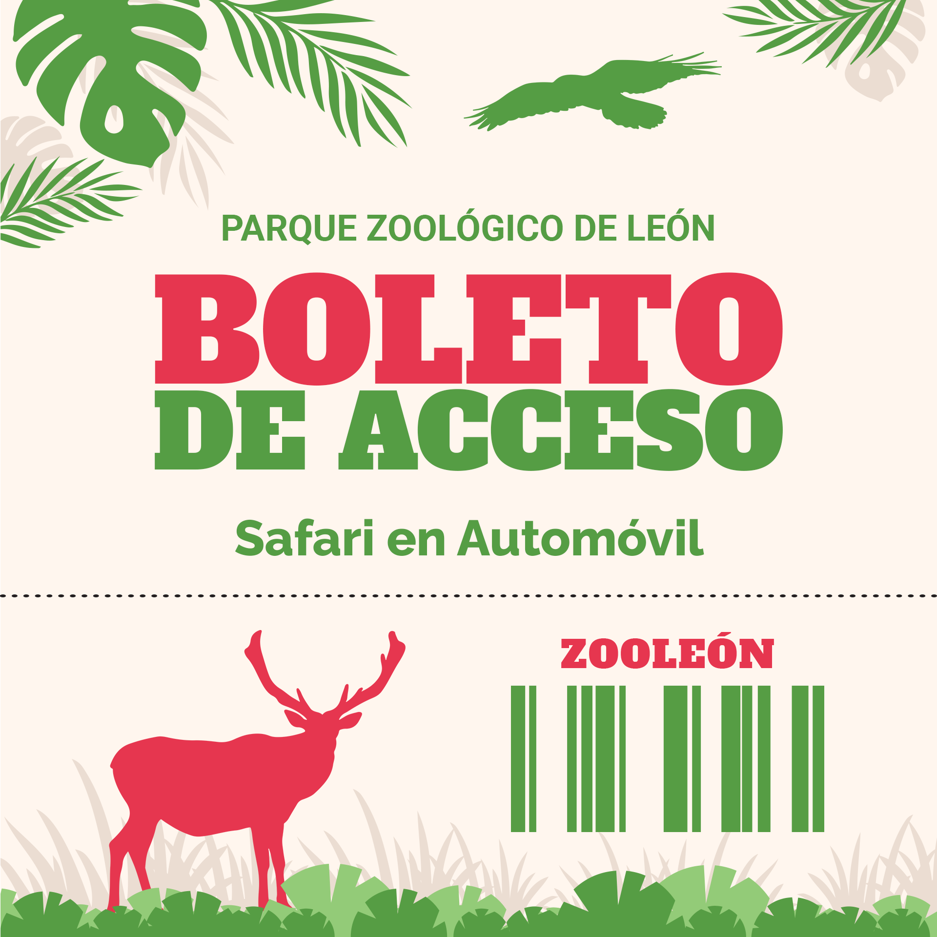 Safari en Automóvil